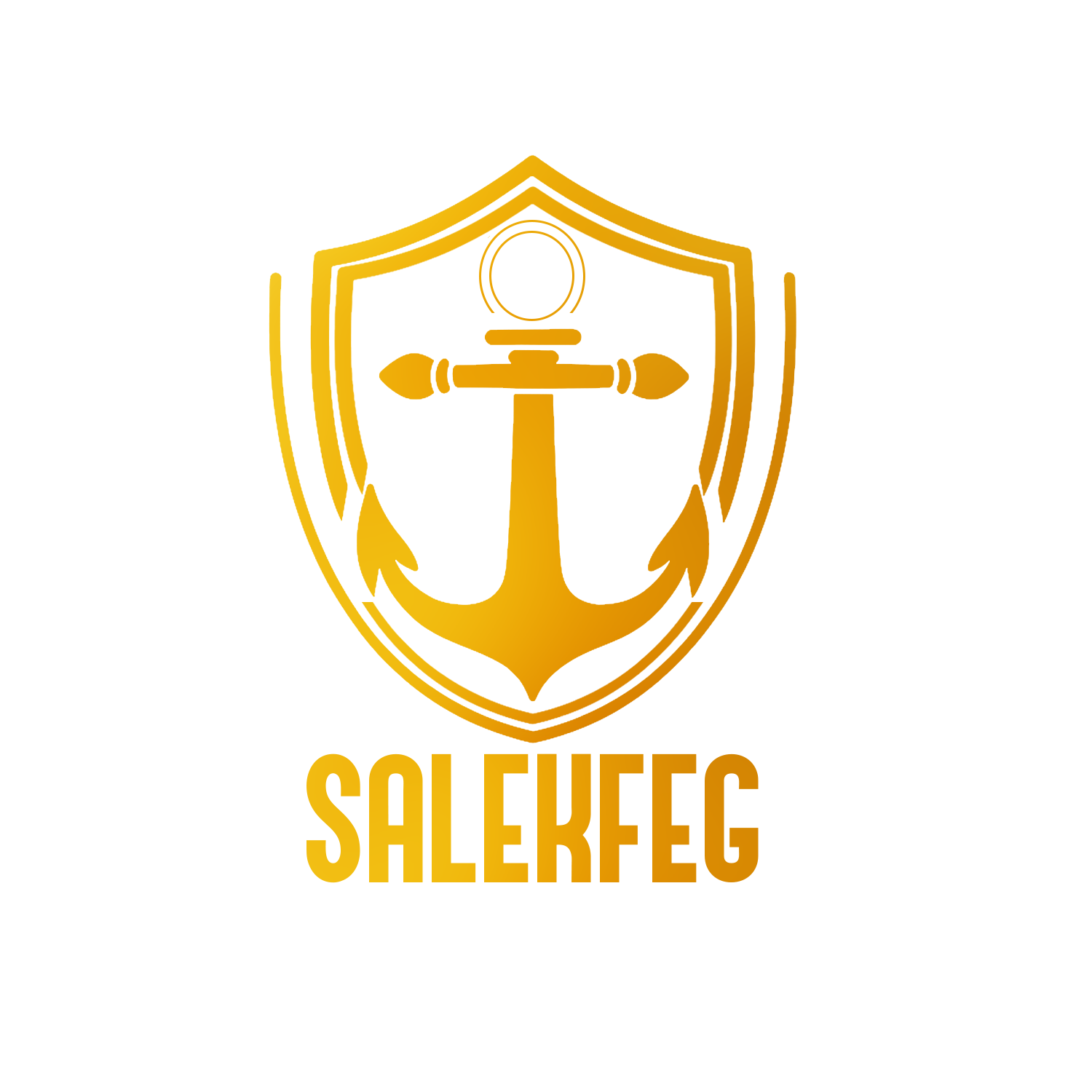 Salekfeg providing managed IT services, networking solutions, and 24/7 technical support for businesses